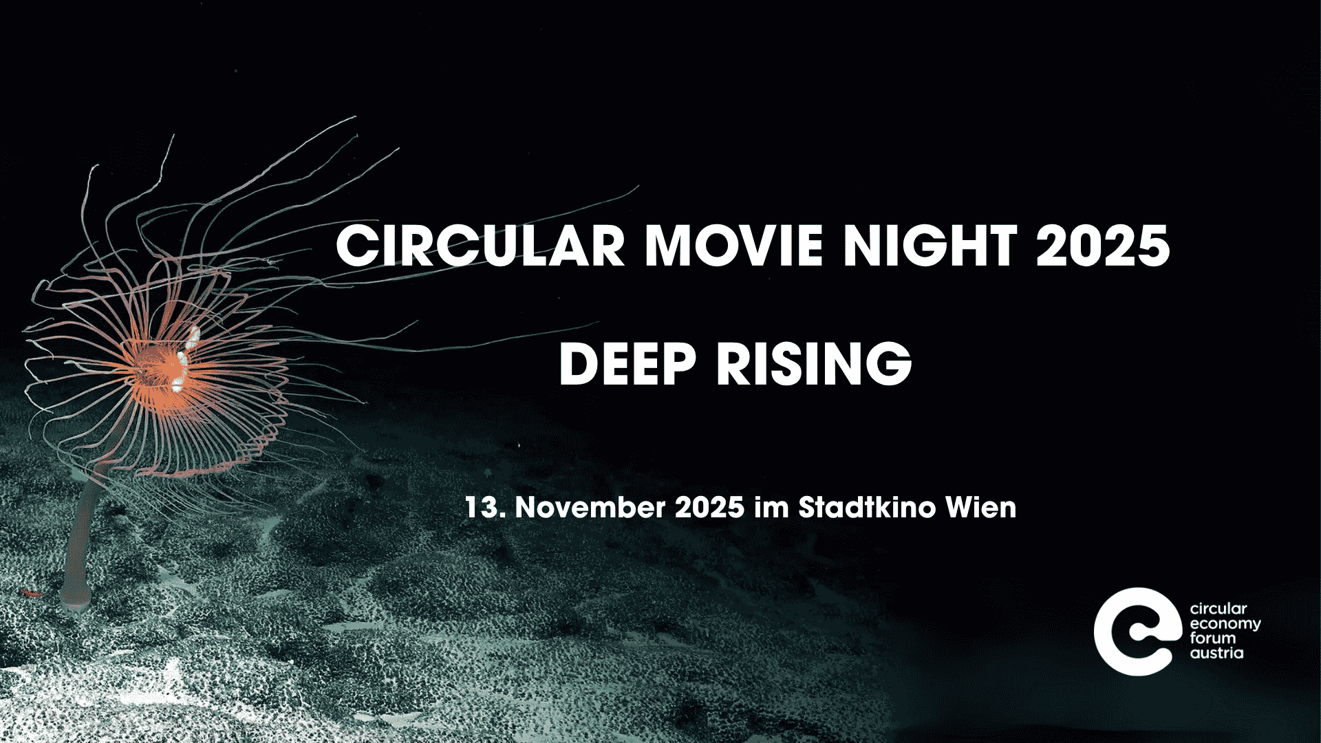 Circular Movie NIght (5)